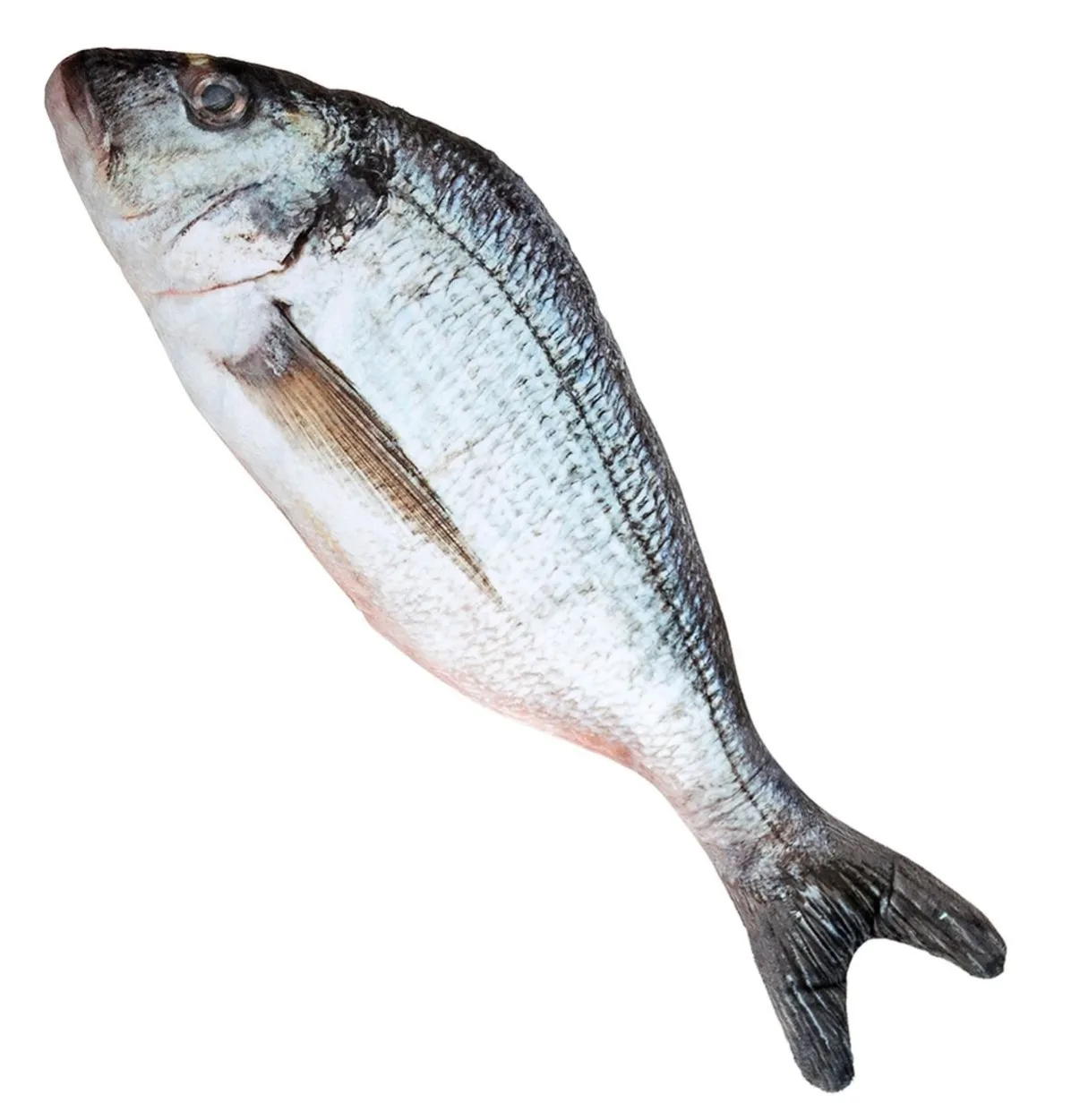 Dagens Fisk